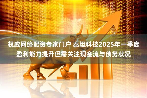 权威网络配资专家门户 泰坦科技2025年一季度盈利能力提升但需关注现金流与债务状况
